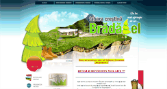 Desktop Screenshot of bradatel.ro